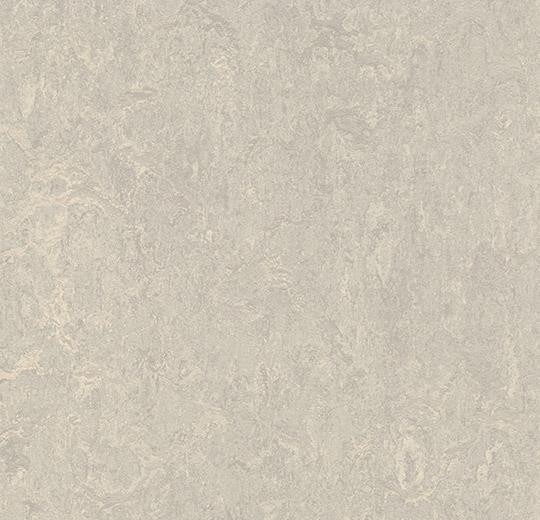 Linoleum Forbo Marmoleum Real 2.5mm - Farbe: 3136 concrete auf DeinBoden24.de